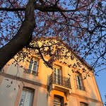 🎀La Maison Rose 🎀 - @la_maison_rose_normande - Instagram