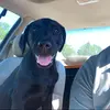 Oakley Rose - @oakleyrose16 - TikTok