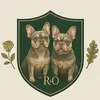 Rose & Oakley - @twinfrenchbulldogs - TikTok