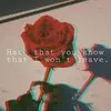 rose.obeid7 - @rose.obeid7 - TikTok