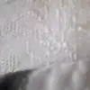 roseohmer0 - @roseohmer0 - TikTok