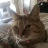 Olive_rose - @olive_rose84 - TikTok