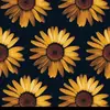 Rose Orio - @roseorio0 - TikTok