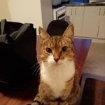 Roseleen Sylvia Ormsby - @ormsbyroseleen - Instagram