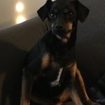 Rosemary Ormsby - @ormsbyrosemary - Instagram