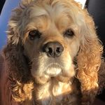 Rose Ott - @trix_n_tuck - Instagram