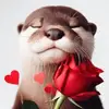 🌸🦦✨RoseOtter✨🦦🌸 - @roseotter6 - TikTok