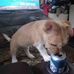 Rose Overton - Facebook