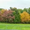 Rose Padgett - @rose.padgett8 - TikTok