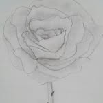 Call me Rose - @rose_painter_ - Instagram
