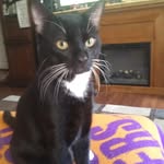 Rose M Painter - @rose.painter.399 - Instagram