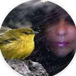 @rose_painter6373 - Instagram