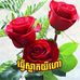 Rose Painter - Facebook