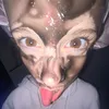 amélieee - @amelierose.parent - TikTok
