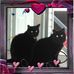 Rose Parent - Facebook