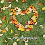 Marianne Rose Parish - @mariannes_photography - Instagram