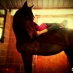 rose parrish - @blue_the_large_cob - Instagram