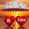 আকাশ ছোয়া পাখি - @roseparvin202 - TikTok