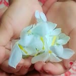@rose_parvin_018 - Instagram