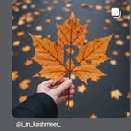 Rose Parvin - Facebook