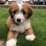 Rose Peck - @freddie_the_doods_life - Instagram
