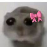 Rose Pendleton - @allrosefields - Instagram