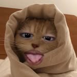 ty - @rose_petite11 - Instagram