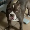 cherirosepfeifer - @cherirosepfeifer - TikTok
