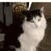 Rose Pfleger - Facebook