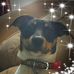 Rose Phelps - Facebook