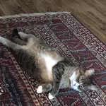 Rose Phelps - @rosephelps1973 - Instagram