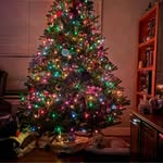 Rose O'Hara Pirone - @rosebud1028 - Instagram