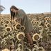 Rosie Pitcher - Facebook