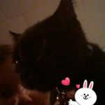 ninna rose pitre - @ninna_pitre - Instagram