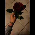 Fatima Muneer - @rose_plumz - Instagram