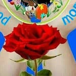rose pollard - @pollard.rose - Instagram