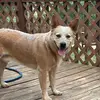 rose potter - @rose.potter02 - TikTok