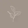 roseprestonpress - @roseprestonpress - TikTok