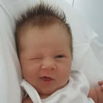 👶🏼 Parker Rose May Le Prevost - @parkerleprevost - Instagram