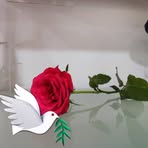 Rose Prevost - Facebook