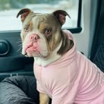Primm Rose - @ripprimmrose26 - Instagram