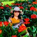 Rose Proffitt - Facebook