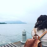 Carmel Rose Purcell - @carmelita_92 - Instagram