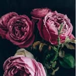 Roseanne Pyle - @rose_pyle - Instagram
