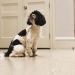 Ellie Rose Radke - @ellie_of_nyc - Instagram
