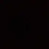 Ravi_Rai - @rose.raffaelee - TikTok