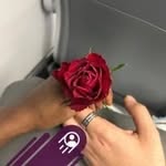 Rose Abdallah - @roseraffaele99 - Instagram