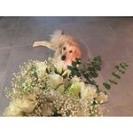 roserains455 - @roserains455 - Instagram