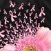 Rose Ramey - Facebook