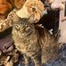 Rose Ramsay - Facebook